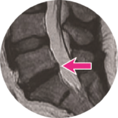arrow icon